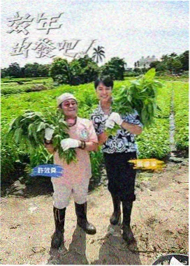 花儿与少年 90影视大全